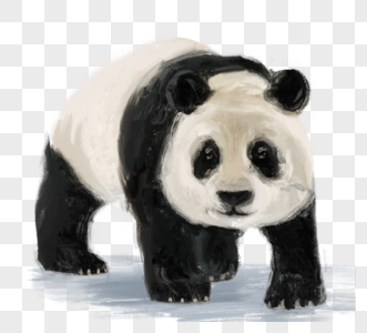 中国国宝大熊猫元素图片