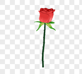 红色玫瑰花元素图片
