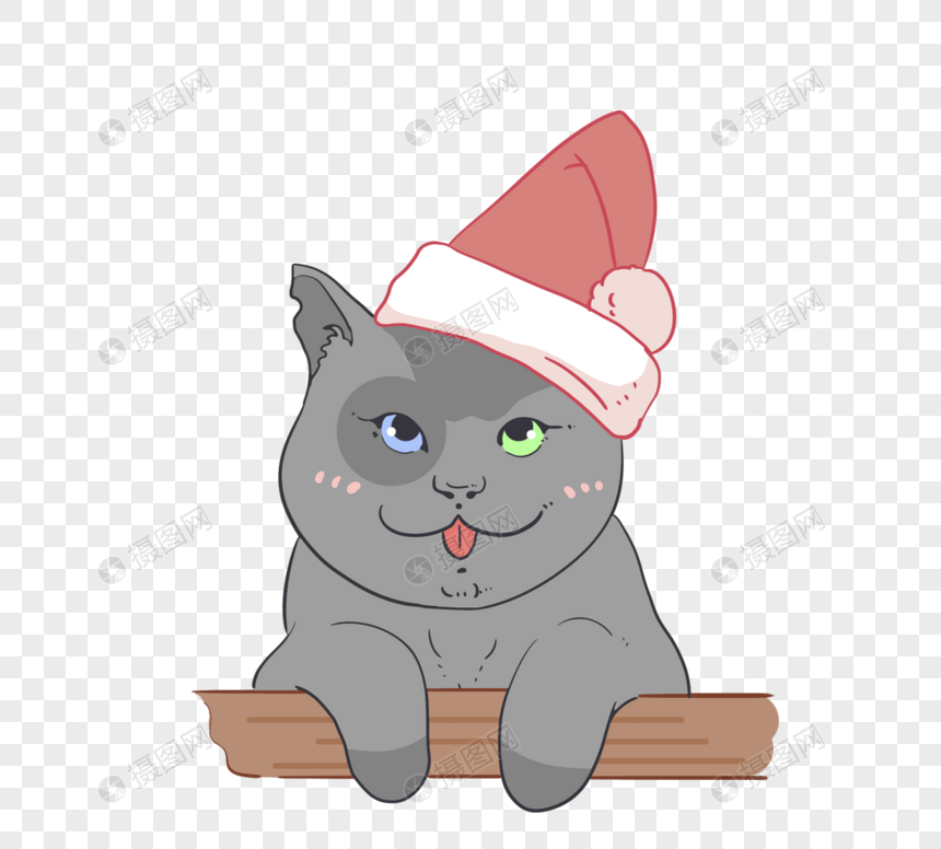 带帽灰猫