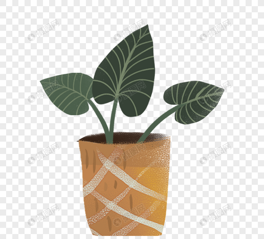 手绘可爱卡通绿色植物黄色盆栽