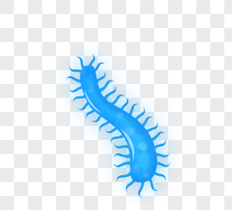 蓝色毛虫病毒病菌细菌图片