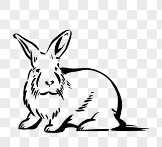 黑白色线描手绘大耳朵兔子图片