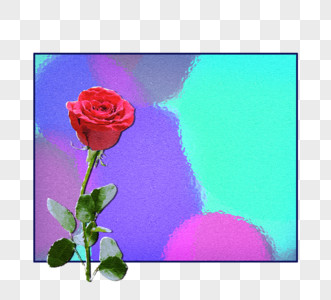 红色玫瑰青绿砂石纹理方框图片