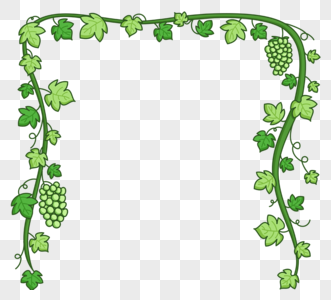 葡萄藤边框手绘绿色图片