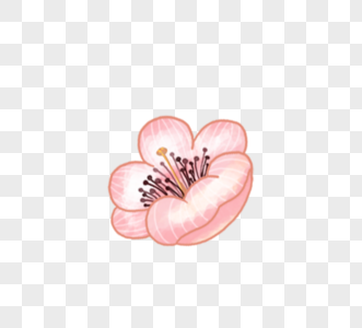 一朵粉色手绘花朵图片
