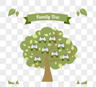 家族家谱树绿色照片树图片