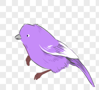 紫色卡通生动可爱手绘小鸟图片