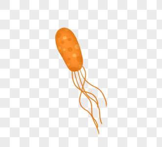 橙色病毒病菌细菌图片