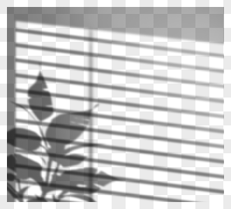 创意手绘阳光照射盆栽投影图片