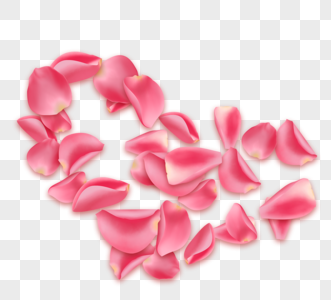 粉色玫瑰花瓣飘落飞舞图片