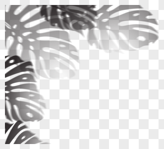 多片龟背竹植物投影图片