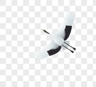 黑白丹顶鹤设计元素图片
