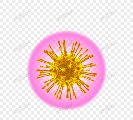 病毒细菌立体病毒图片