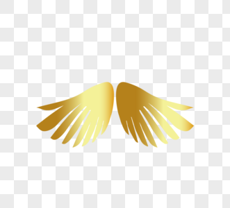 金属翅膀金色翅膀图片