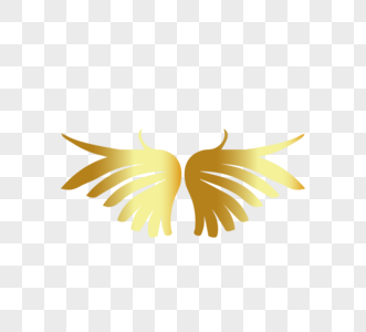 金色飞行翅膀金属图片