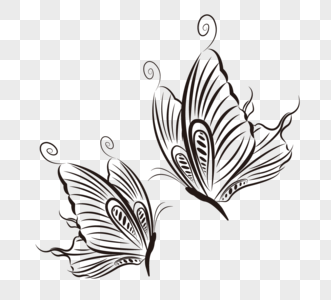 线性蝴蝶蝴蝶黑白高清图片