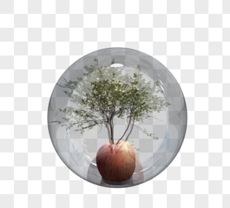 植物工艺品玻璃球图片