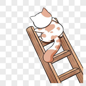 爬梯子的小猫图片