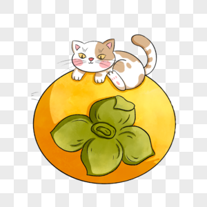 趴在柿子上的小猫图片