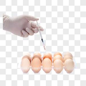 转基因鸡蛋科研培育图片