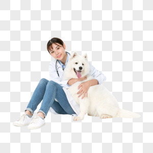 宠物医生抱着萨摩耶萨摩耶犬高清图片素材