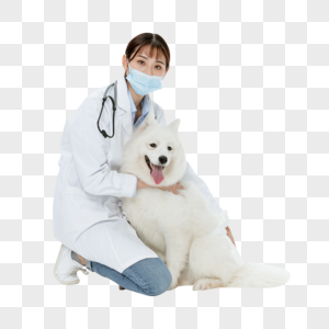 宠物医生与宠物萨摩耶相伴宠物犬高清图片素材
