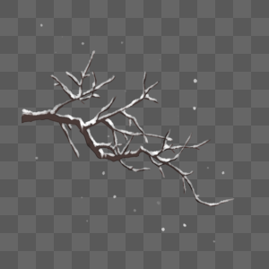 积雪冬季树枝图片
