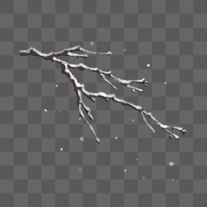 积雪的冬季树枝图片
