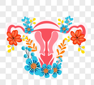 手绘女性生殖系统花卉图片