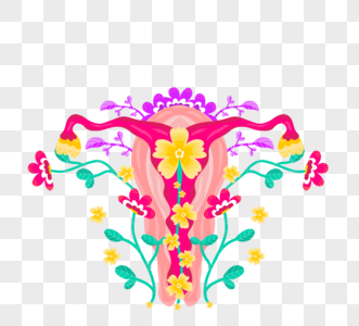 手绘卡通花卉女性器官图片