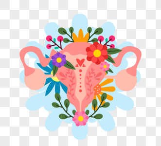 手绘花朵花卉女性生殖系统花卉元素图片