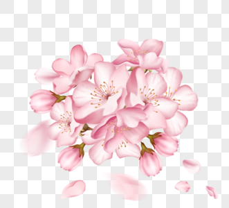 一簇盛开粉色手绘樱花图片