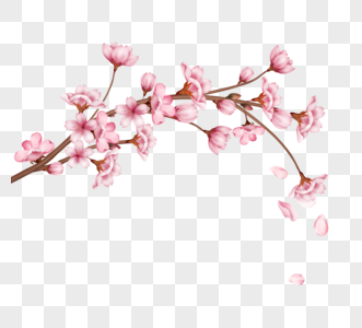 一枝手绘真实质感粉色樱花图片