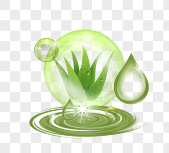 自然新鲜透明绿色芦荟胶图片