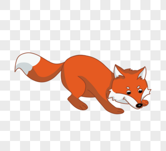 瞄准猎物狐狸图片