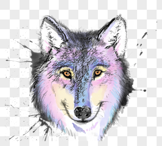 紫色狼头像手绘水彩素描元素图片