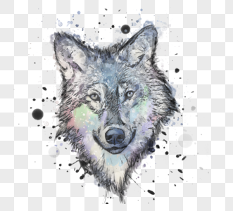 狼头像泼墨手绘水彩素描元素图片