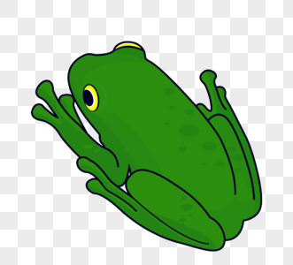 青蛙绿色元素图片