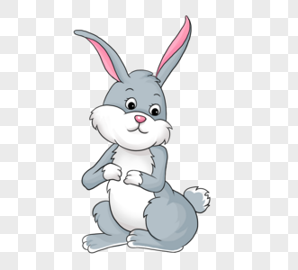 灰色兔子图片