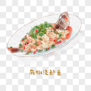 麻椒浸鲈鱼川菜手绘美食高清图片