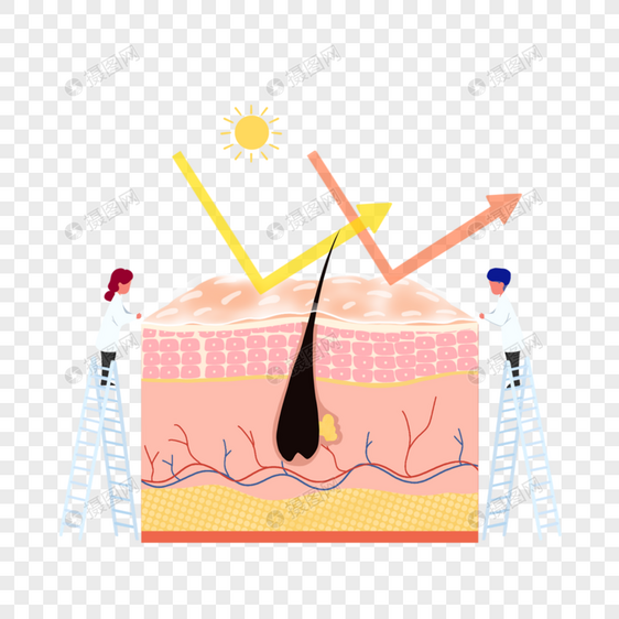 皮肤防晒图片