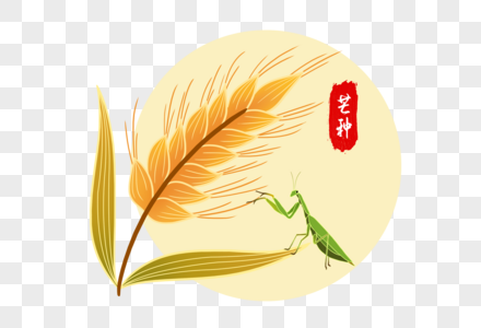 麦子和螳螂图片