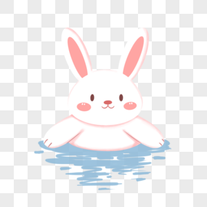 游泳的兔子图片