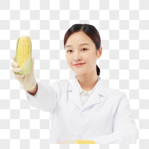 美女营养师用玉米做实验图片