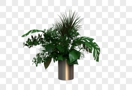 植物3d模型图片