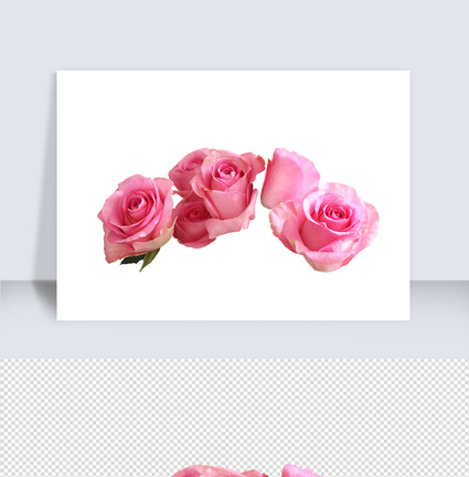 情人节玫瑰花素材图片