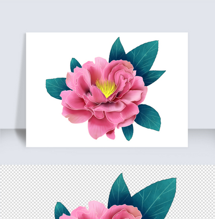 富贵粉色牡丹花花卉元素图片