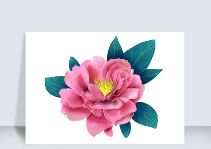 富贵粉色牡丹花花卉元素高清图片