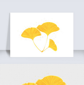 秋分银杏树叶金黄色树叶中国风插画元素图片