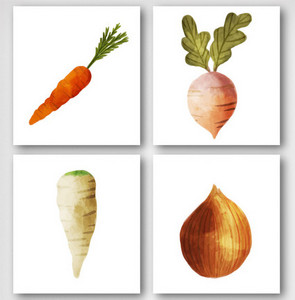 插画风萝卜蔬菜元素图片